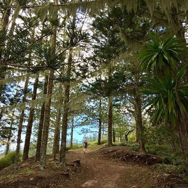 Cumberland Resort and Spa | Car Hire in Norfolk Island, Australia Cumberland Resort and Spa | Car Hire in Norfolk Island, Australia
